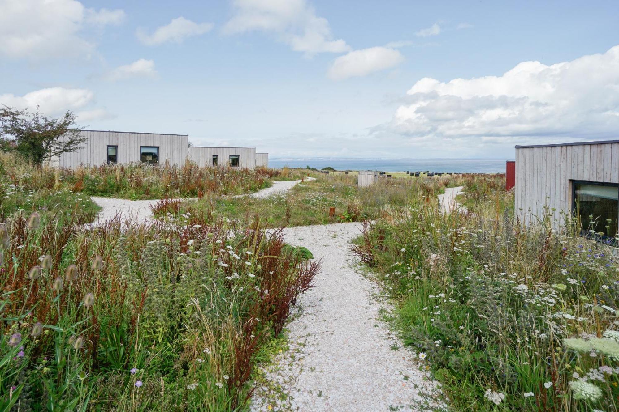 Rustic Cabins, Sea Views From Rewilded Farm With Highland Cows سانت أندروز المظهر الخارجي الصورة